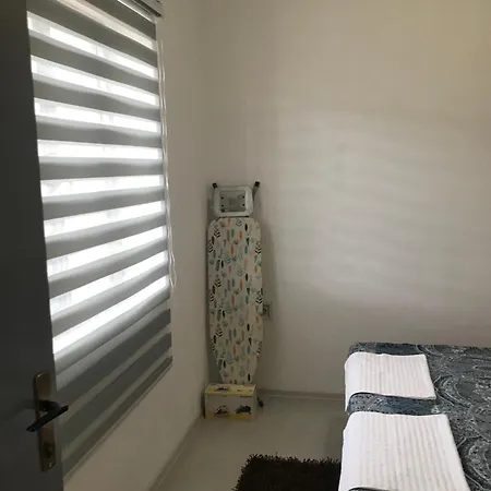 Dalt * トレビニエ